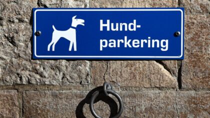 Blindsone i bil: slik får du bedre oversikt og færre ubehagelige overraskelser